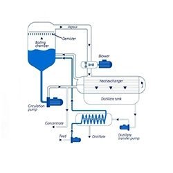 Batch Enzyme Reactor
