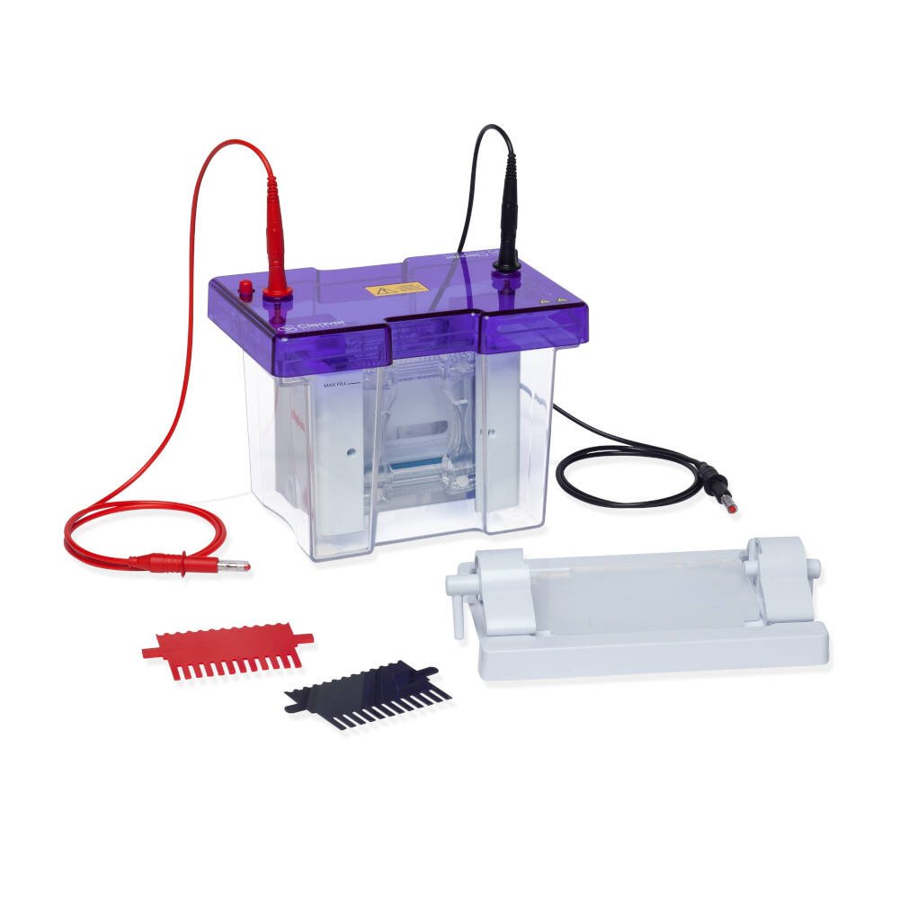 Electrophoresis Vertical- Mini