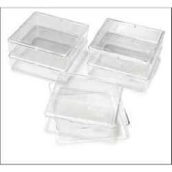 Gel Developing Tray