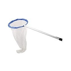 Insect Net