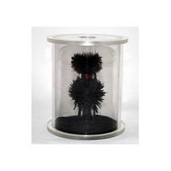 Magnetic Field Chamber