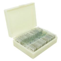 Microslide Boxes