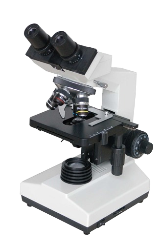 Microscope - Binocular 1